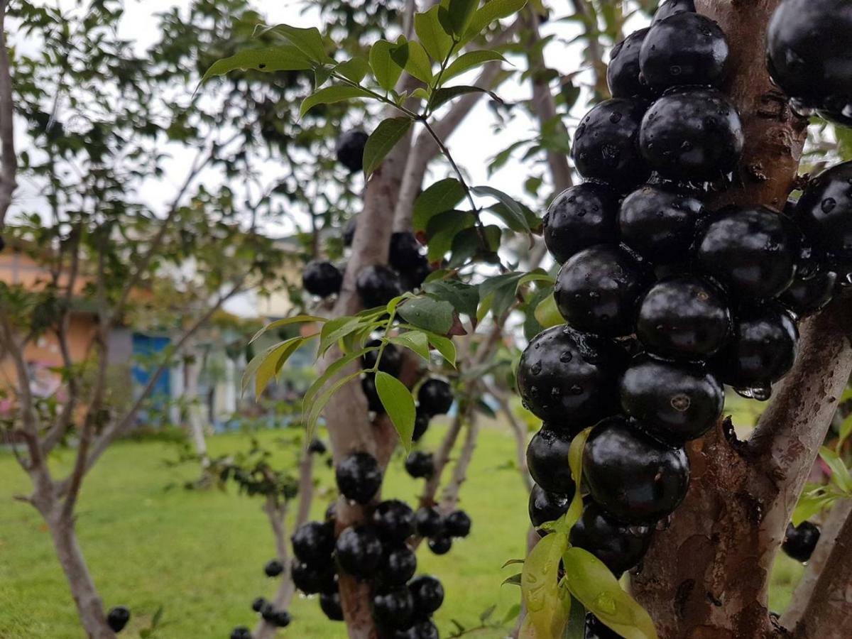 Wei Feng Jia Yuan B&B Taitung ภายนอก รูปภาพ